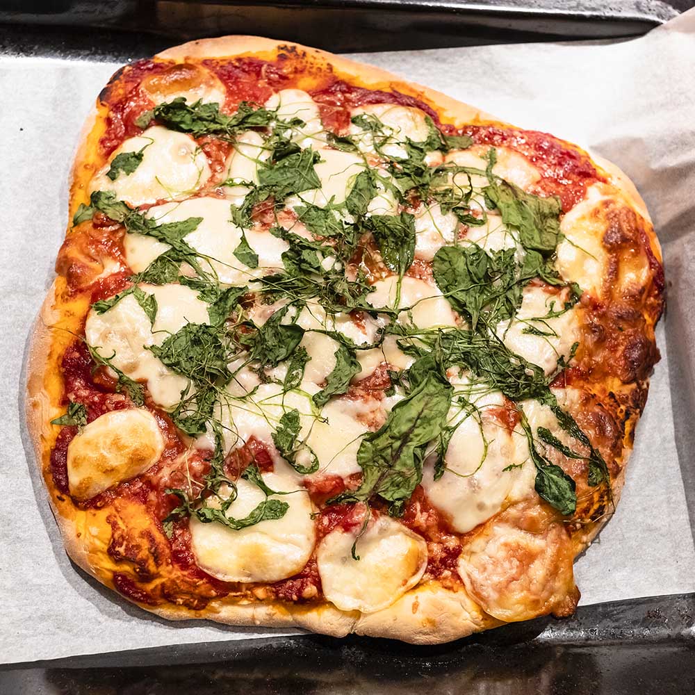homemade-pizza-with-sliced-mozzarella-cheese-PPRXM7F.jpg